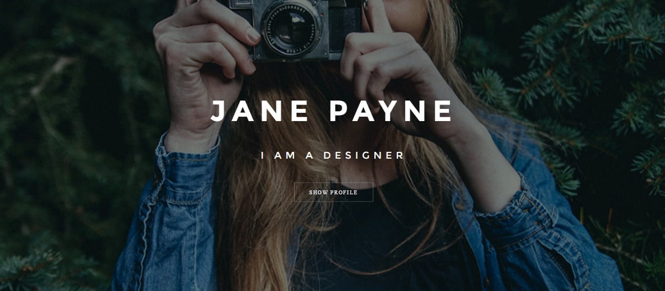 Vcard Responsive CV WordPress Theme Preview