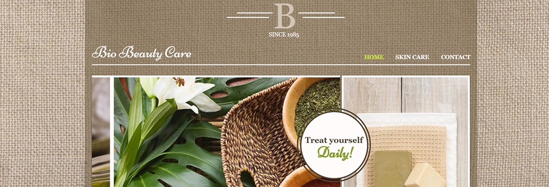 Beauty Care Website Template _ WIX