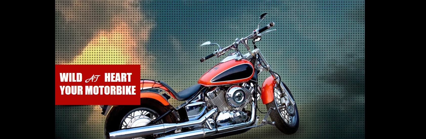 Wild Motorbike Website Template