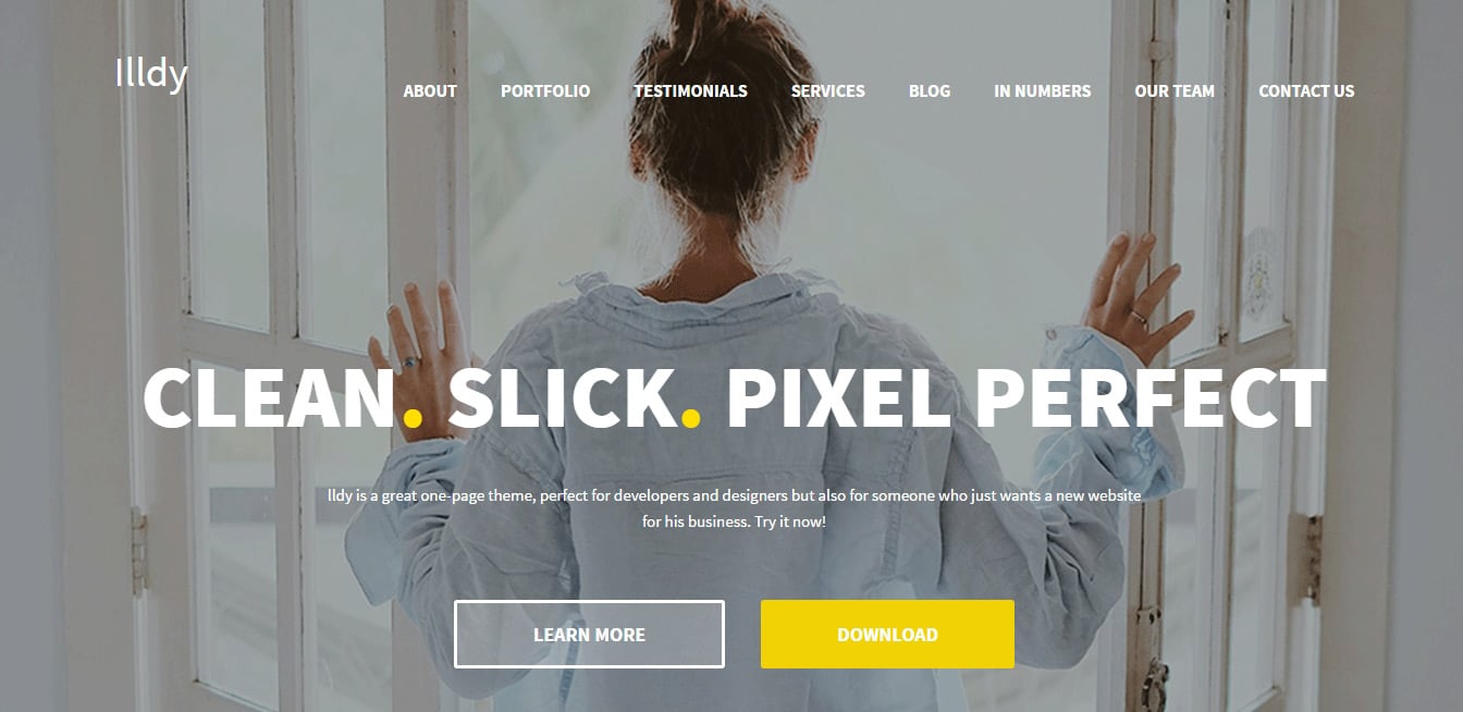 Front Page - Illdy Theme Demo