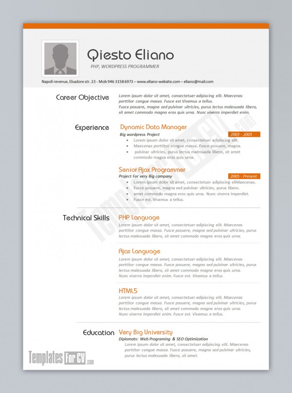 Programmer Resume Template Programmer Resume Template
