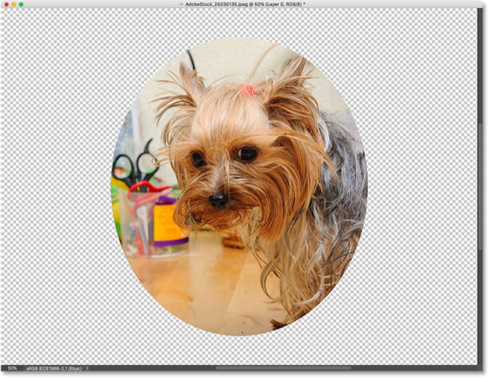 Using Clipping Masks in Adobe Photoshop - Detailed Tutorial- Final Result