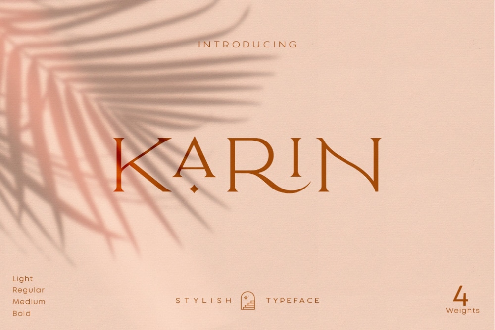 Glamourous Fonts for Designers working in Fashion Industry: Karin