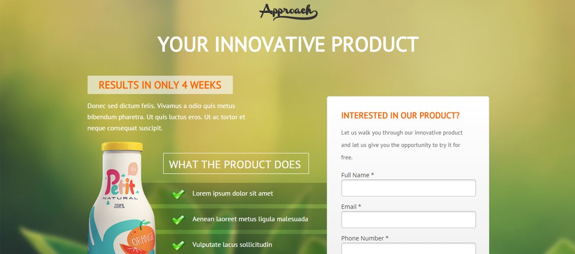 Approach - Lead Gen Unbounce Template
