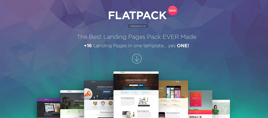 FLATPACK - Multipurpose Unbounce Pack