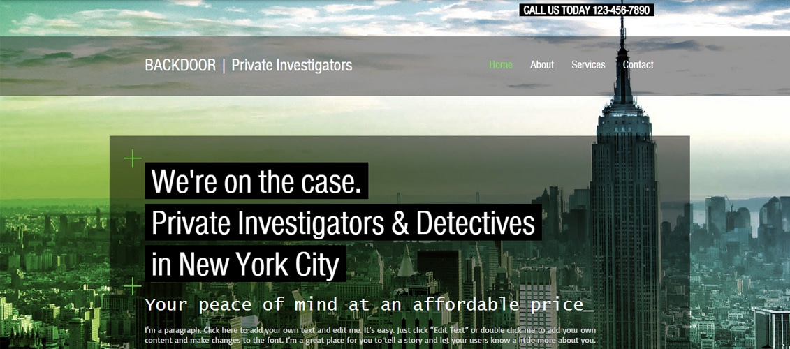 Private Investigators