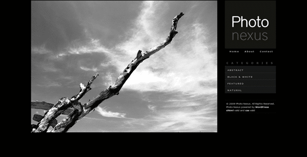 Photo Nexus WordPress Gallery 2 in 1